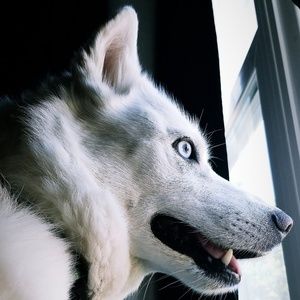 Meet your Posher, Zach